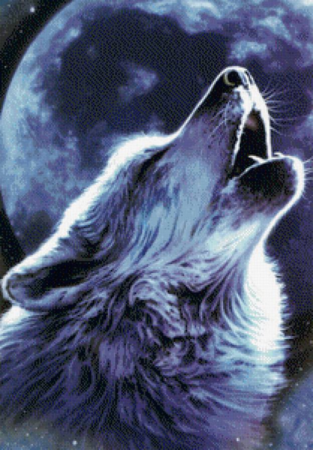 Воющий волк - ночь, луна, волк - предпросмотр