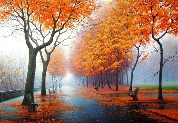 Осень - деревья, лес, осень, природа - оригинал