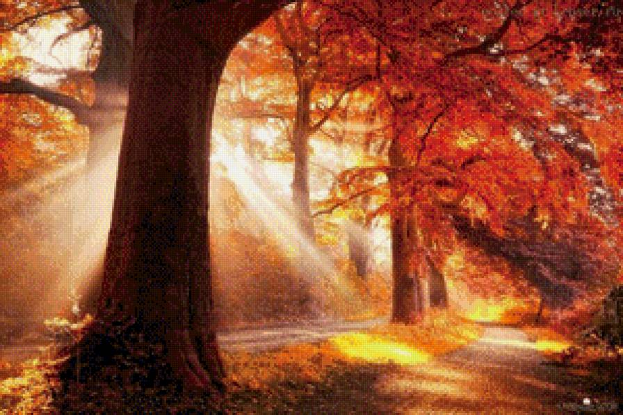 Осень - природа, осень, лес - предпросмотр