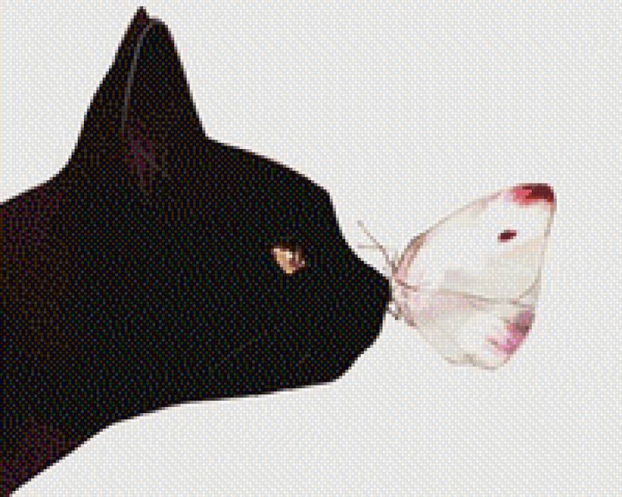 Черный кот и бабочка - бабочка, кот - предпросмотр