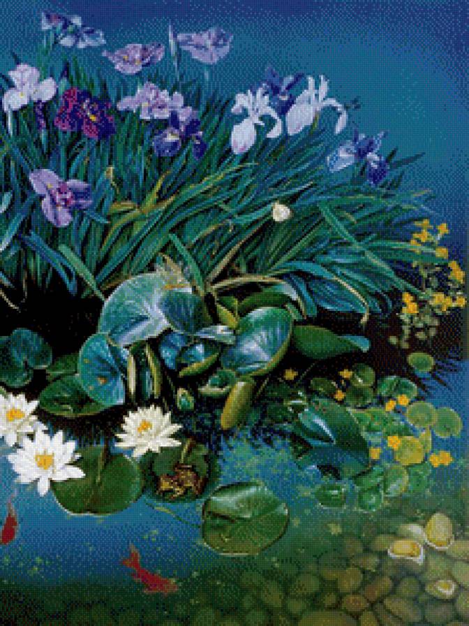 садовый прудик часть 2 - ирис, картина, природа, рыба, пруд, калла, цветы, живопись, вода, лотос - предпросмотр