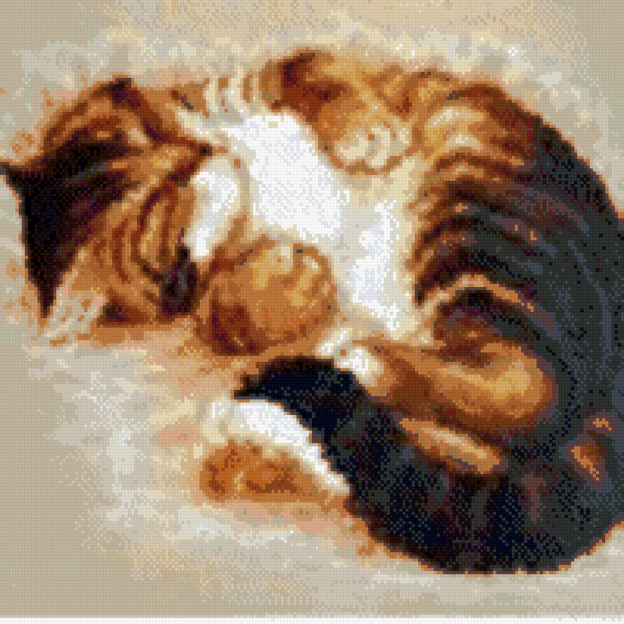 Котик спит - кот, подушка, животные, спящий кот - предпросмотр