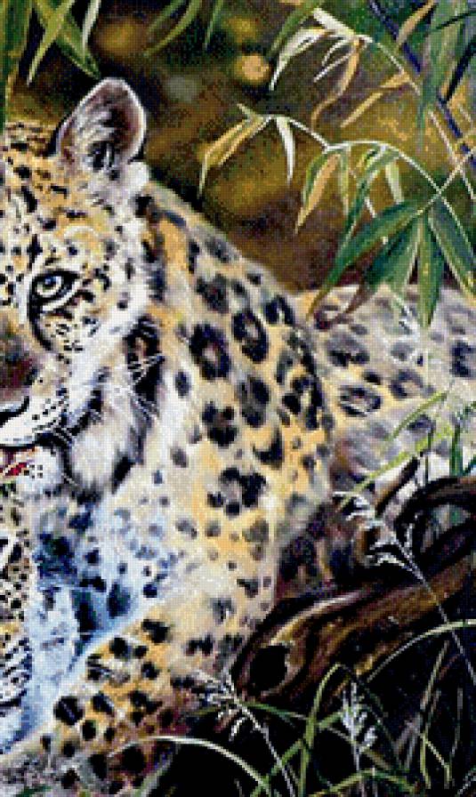 любовь в джунглях часть 2 - живопись, леопард, хищник, природа, пара, взгляд - предпросмотр
