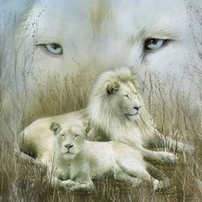 Оригинал схемы вышивки «белые львы» (№492066)