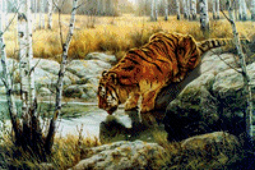 тигр на водопое - тигры - предпросмотр