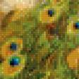 Предпросмотр схемы вышивки «Павлин и цветы» (№492279)