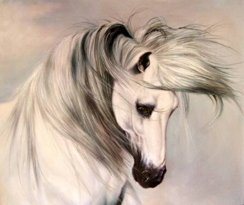 Тино Августо Бруно Белая Лошадь - оригинал