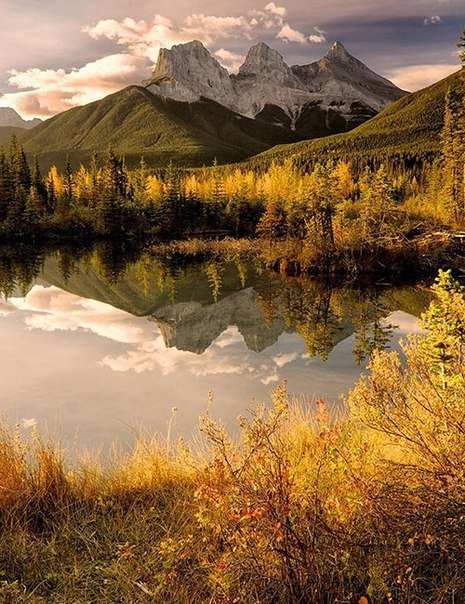 Осень в горах - лес, осень, горы, озеро - оригинал