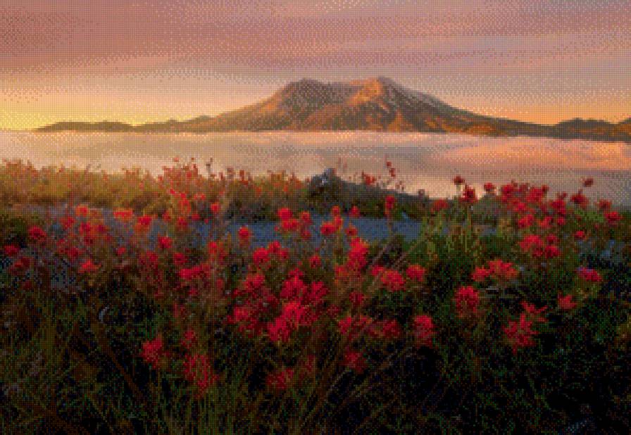 Вулкан - пейзаж, поле, природа, цветы, горы, вулкан - предпросмотр