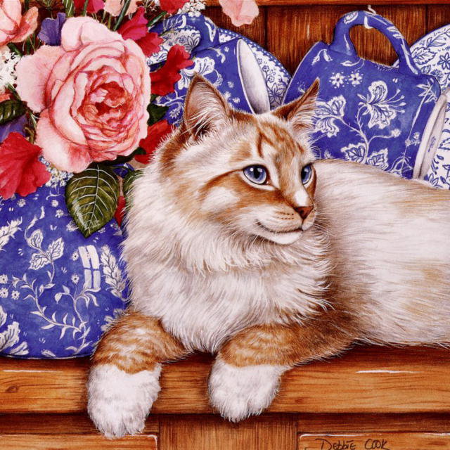 Кошка - цветы, натюрморт, животные, кошка - оригинал