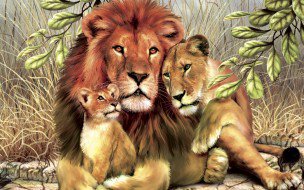 семья львов - львы, животные, звери, девушка, семья - оригинал