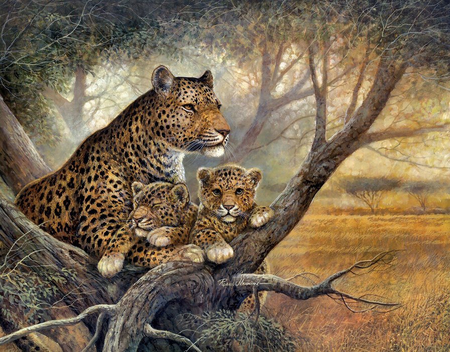 Леопарды - дикие кошки, животные - оригинал