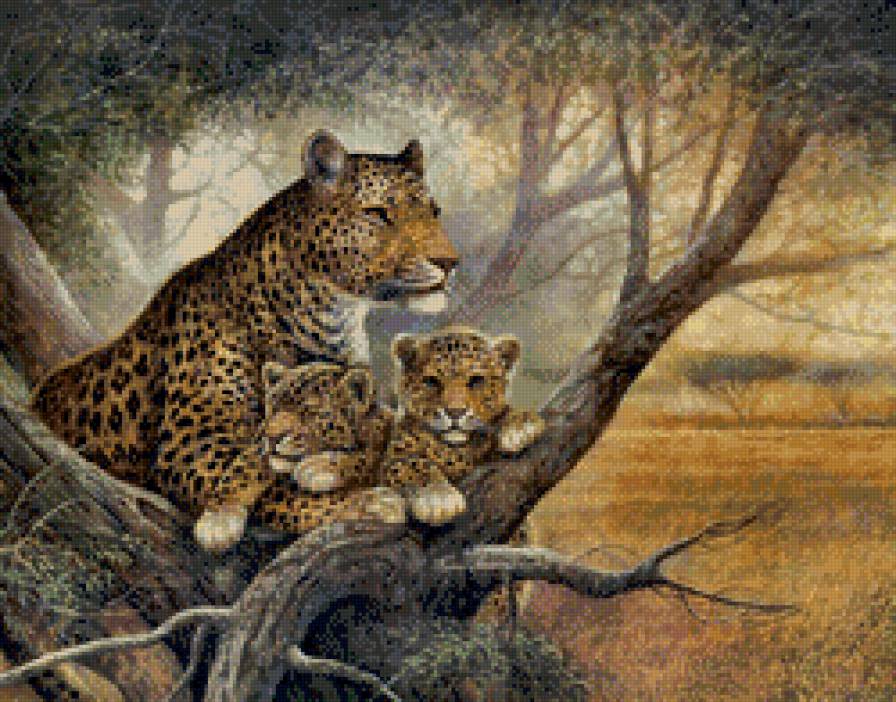 Леопарды - животные, дикие кошки - предпросмотр