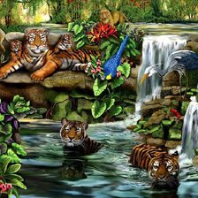 тигры у водопада