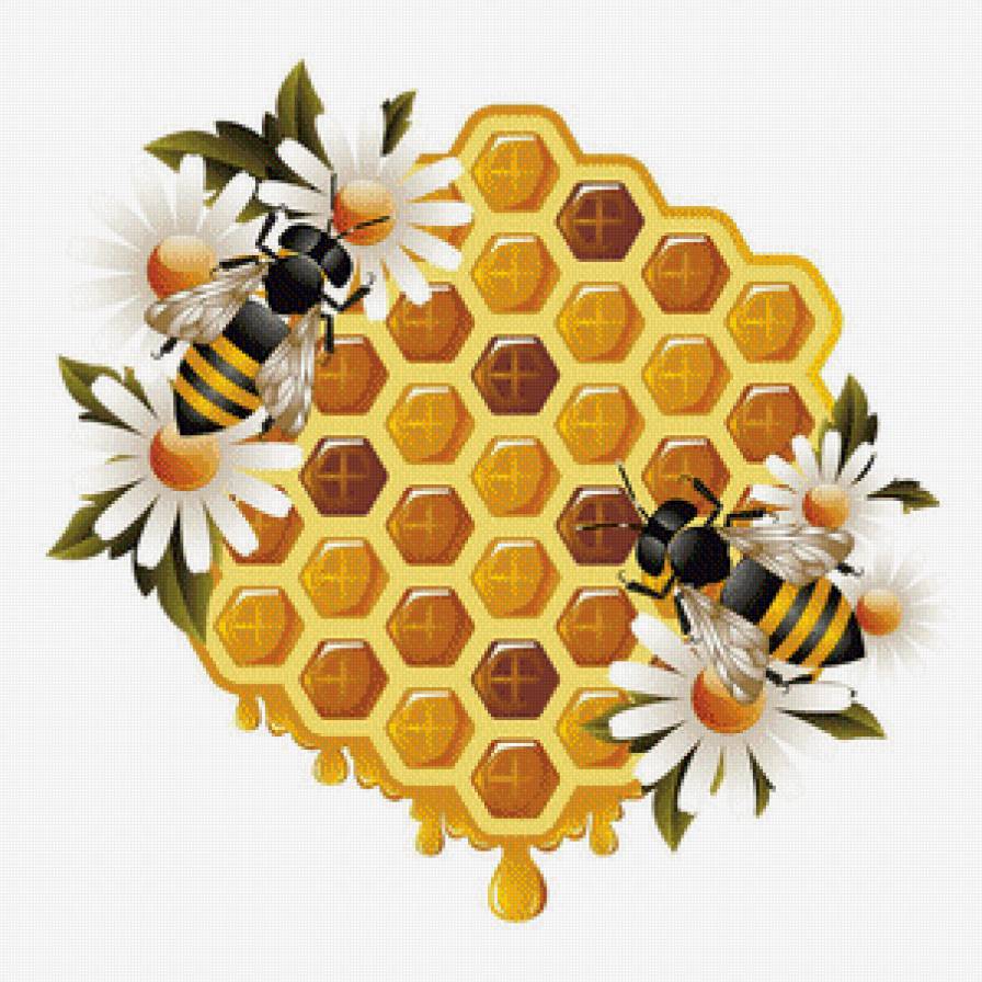 Медовые соты. - пчелы, мед, медовые соты - предпросмотр