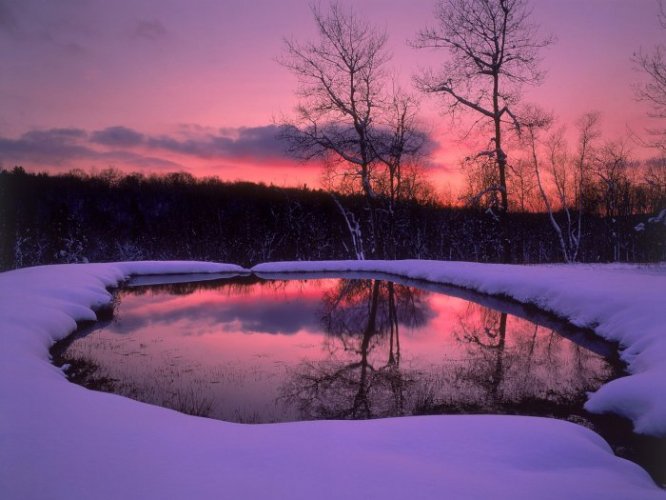 зимний закат - водоем, природа, закат, зима, деревья, снег, озеро - оригинал