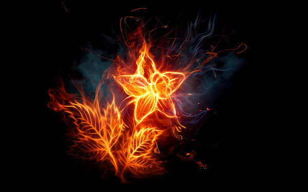огненный цветок - цветок, огонь - оригинал