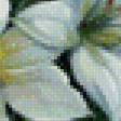 Предпросмотр схемы вышивки «Лилии» (№494370)