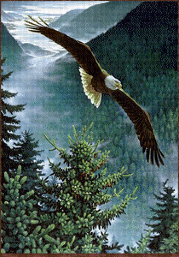 полет орла - птицы, природа, горы, пейзаж, орел - предпросмотр