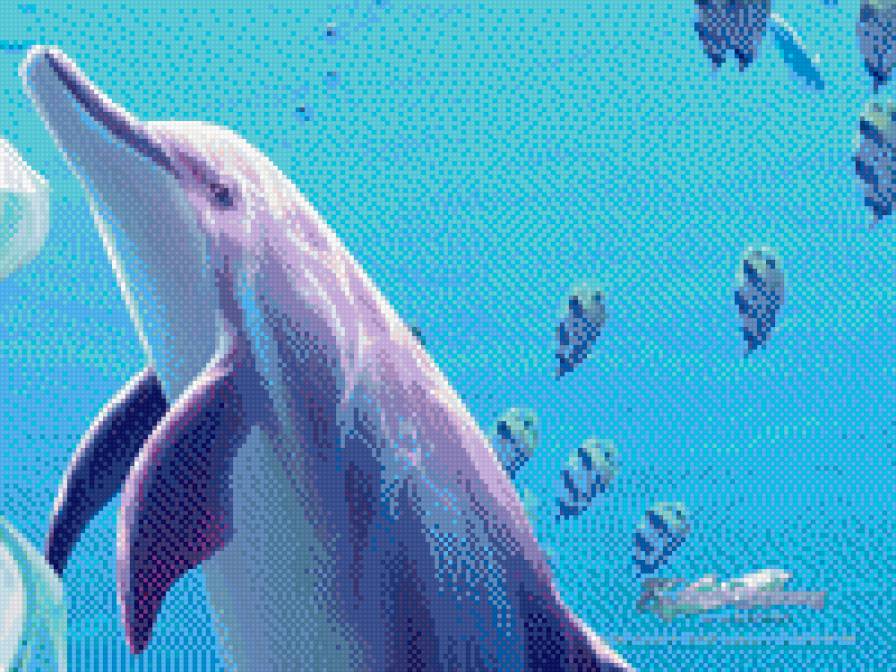 дельфин - фауна - предпросмотр