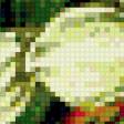 Предпросмотр схемы вышивки «Нарциссы и тюльпаны» (№495028)