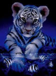 Тигренок и аквариум - животные, тигр, рыбки - оригинал