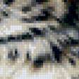 Предпросмотр схемы вышивки «леопард» (№495667)
