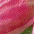 Предпросмотр схемы вышивки «Тюльпаны» (№495740)