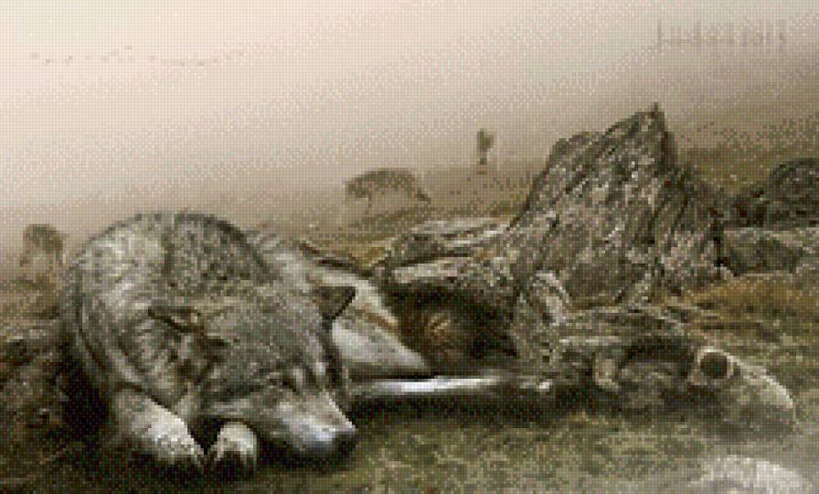 Волк и щенок - собаки, одиночество, животные, волк - предпросмотр