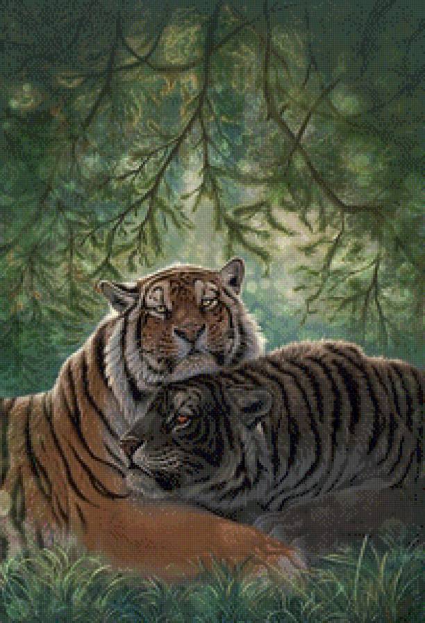 пара тигров - лес, тигры, джунгли, тигрица, тигр, хищник, пара - предпросмотр