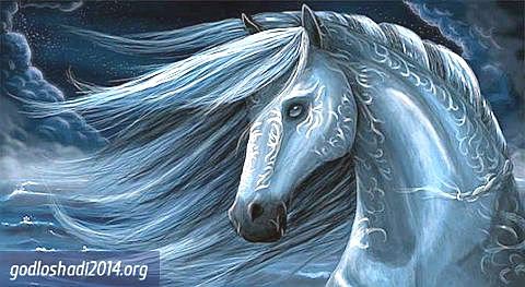 2014 - год Лошади - лошади, животные, кони - оригинал