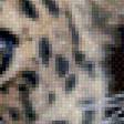 Предпросмотр схемы вышивки «Леопард» (№496985)
