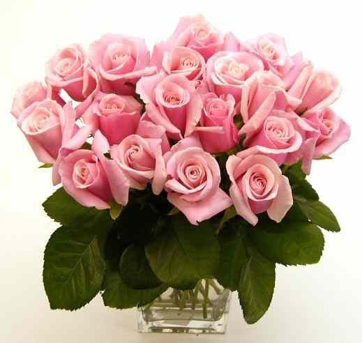 Букет роз - розы, цветы, натюрморт - оригинал