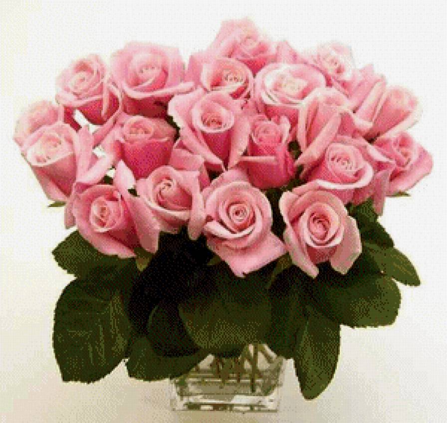 Букет роз - натюрморт, цветы, розы - предпросмотр