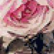Предпросмотр схемы вышивки «роза» (№497624)