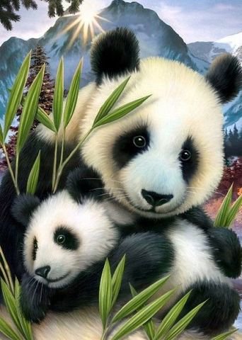 панды - животные, природа - оригинал