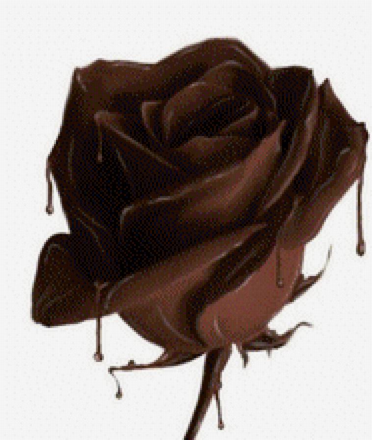 Шоколадная роза - шоколад, сладости, роза, цветы - предпросмотр