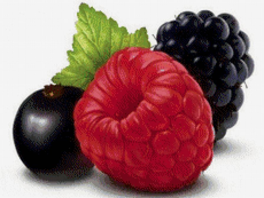Ягодки - ежевика, ягоды, малина, черная смородина - предпросмотр