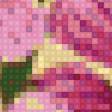 Предпросмотр схемы вышивки «розовые цветы» (№497899)