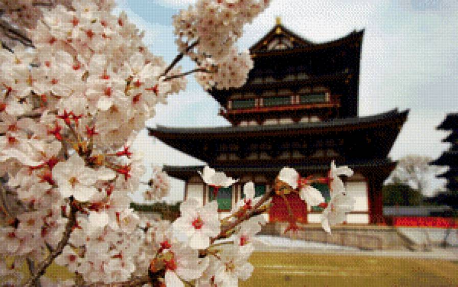 цветущая сакура - сакура, япония, весна, храм - предпросмотр