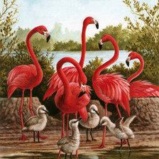 Схема вышивки «Семья фламинго»