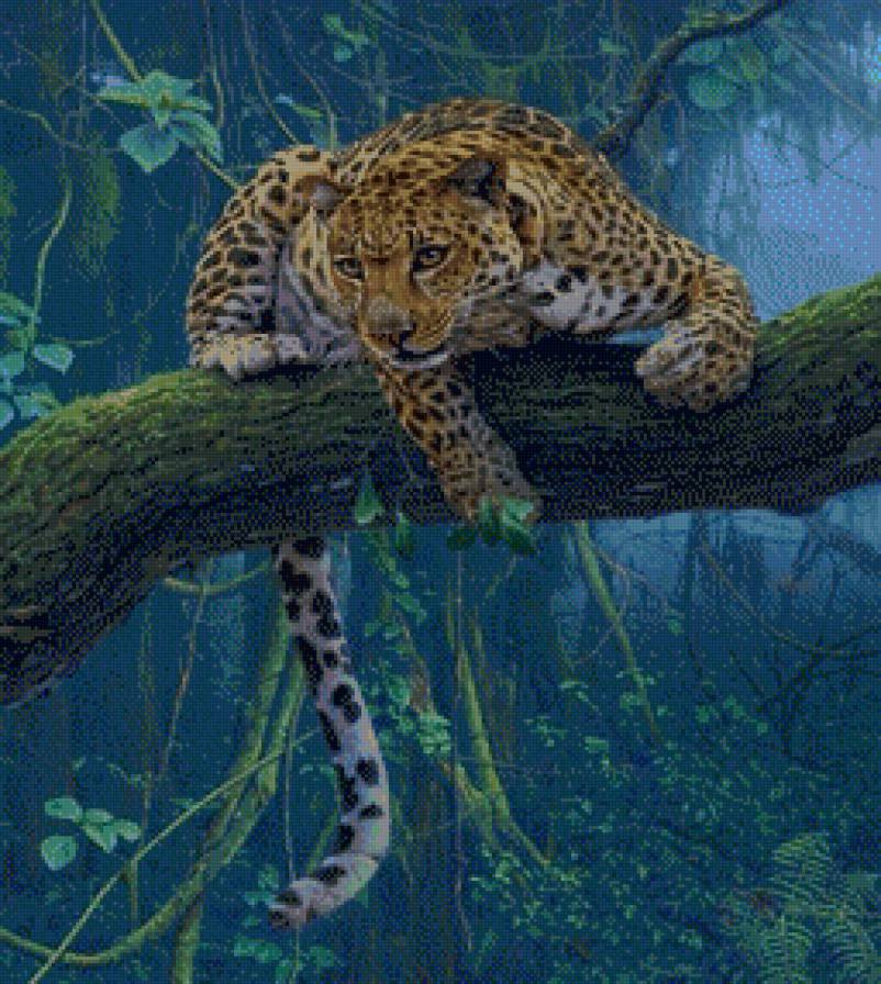 гепард на дереве - кошки, животные, гепарды - предпросмотр