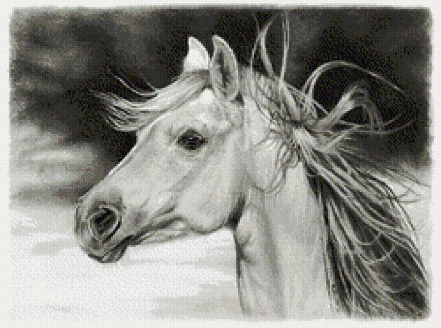 белый конь монохром - лошадь, конь, животные - предпросмотр