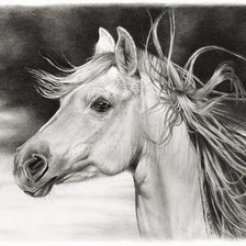 Оригинал схемы вышивки «белый конь монохром» (№498170)