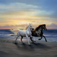 кони на морском берегу