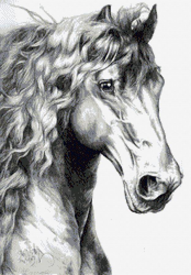конь мрнрхром 2 - животные, лошадь, конь - предпросмотр