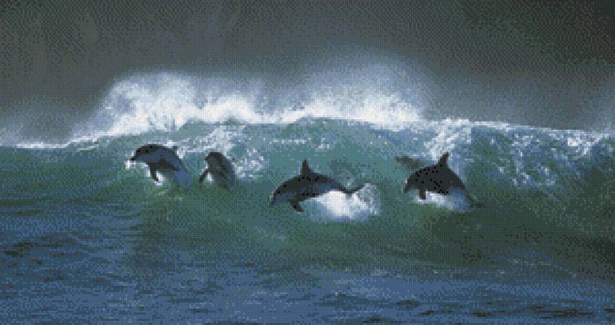дельфины - рай, дельфины, море, картина - предпросмотр
