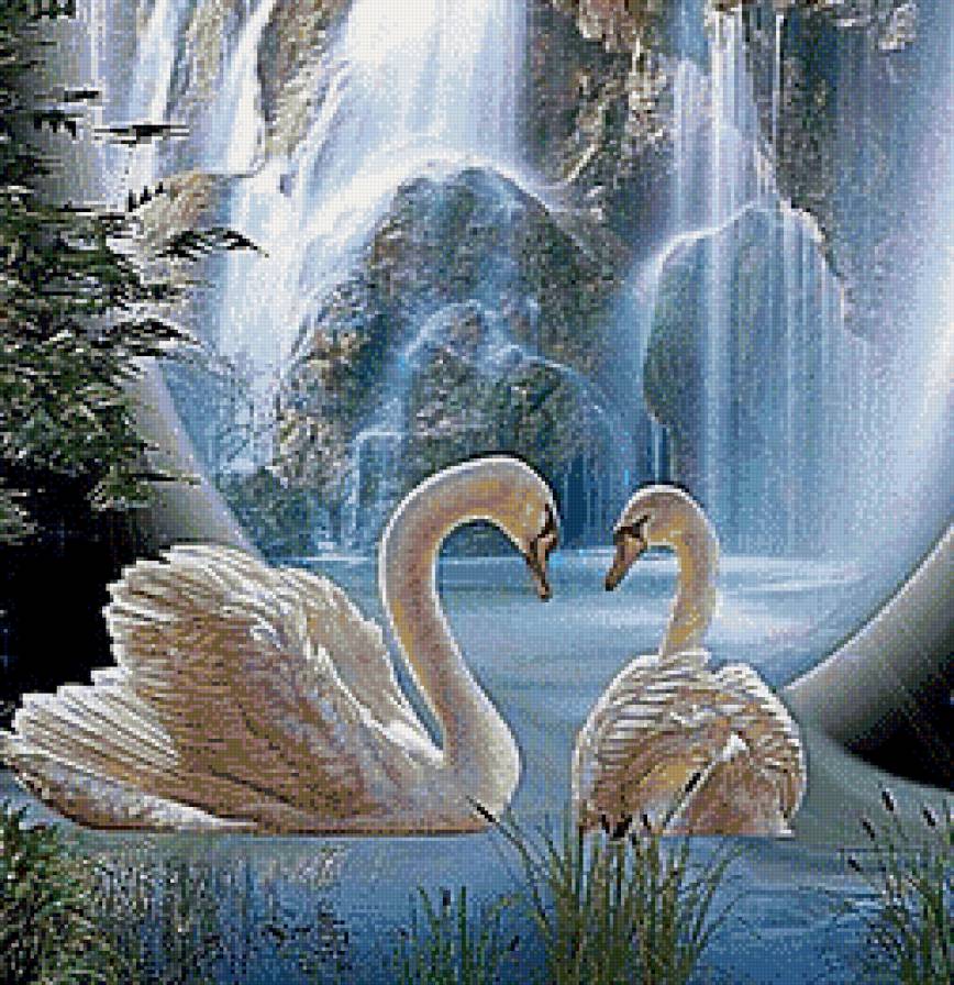 Лебеди у водопада - лебеди, водопад, пейзаж, птицы - предпросмотр