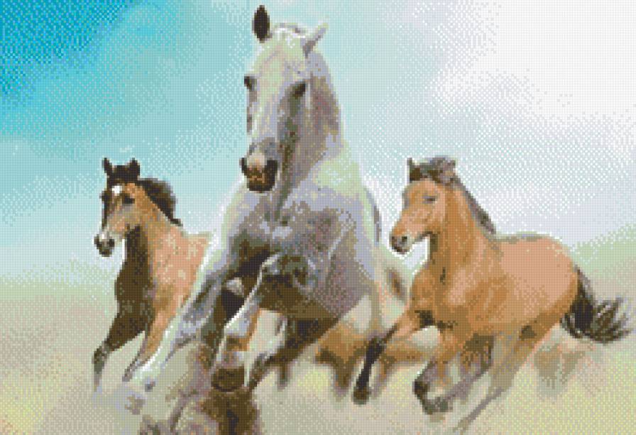 три лошадки - животные - предпросмотр
