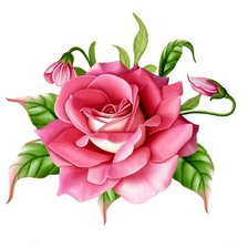 Оригинал схемы вышивки «Роза» (№498768)